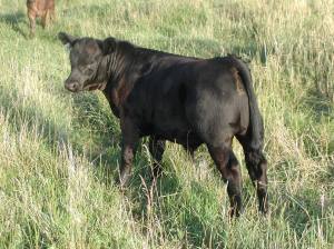 Who knew this little guy would grow up to be such a trouble maker?