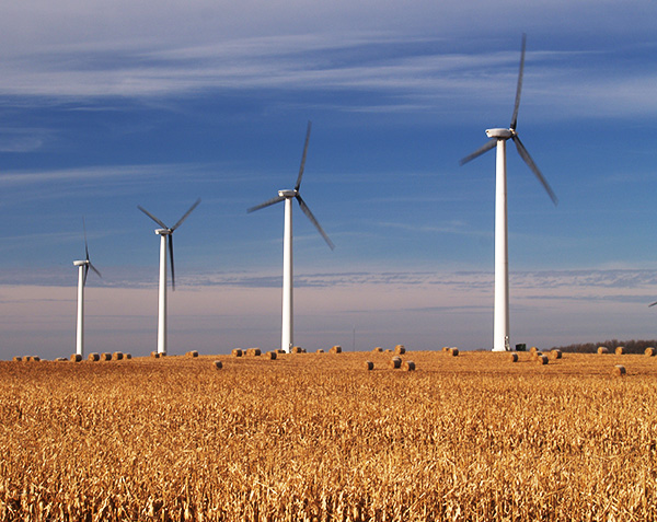 four large wind turbines rising over a cornfield in fall in Minnesota