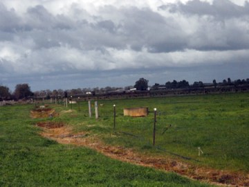 Dairy paddocks in Victoria, Australia