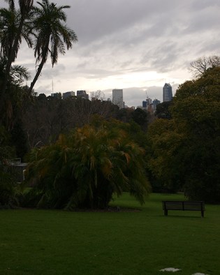 melbourne skyline from the royal botanic gardens