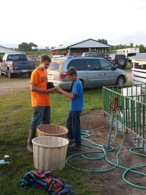 boys giving their chicken a bath at the county fair