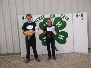 boys displaying the awards they won with their chickens at the county fair