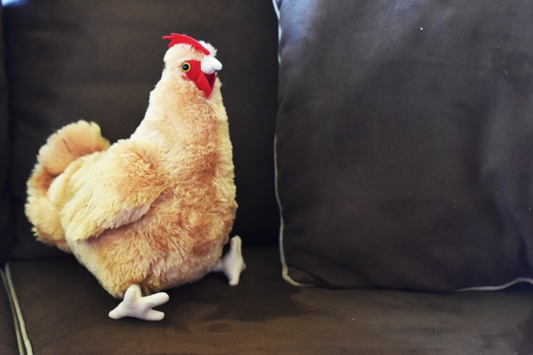 toy chicken