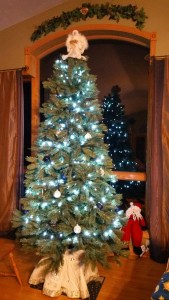 normal christmas tree