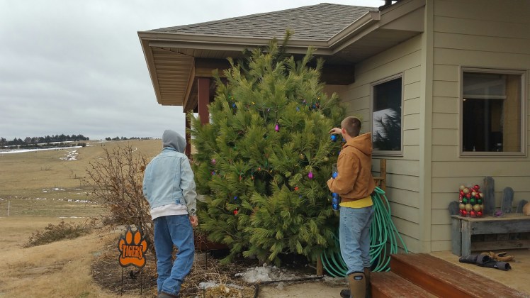 20161223_115405_resized